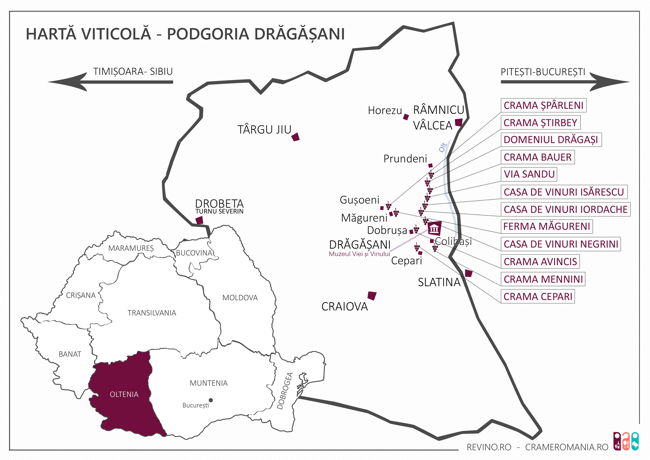 Podgoria Dragasani_2017