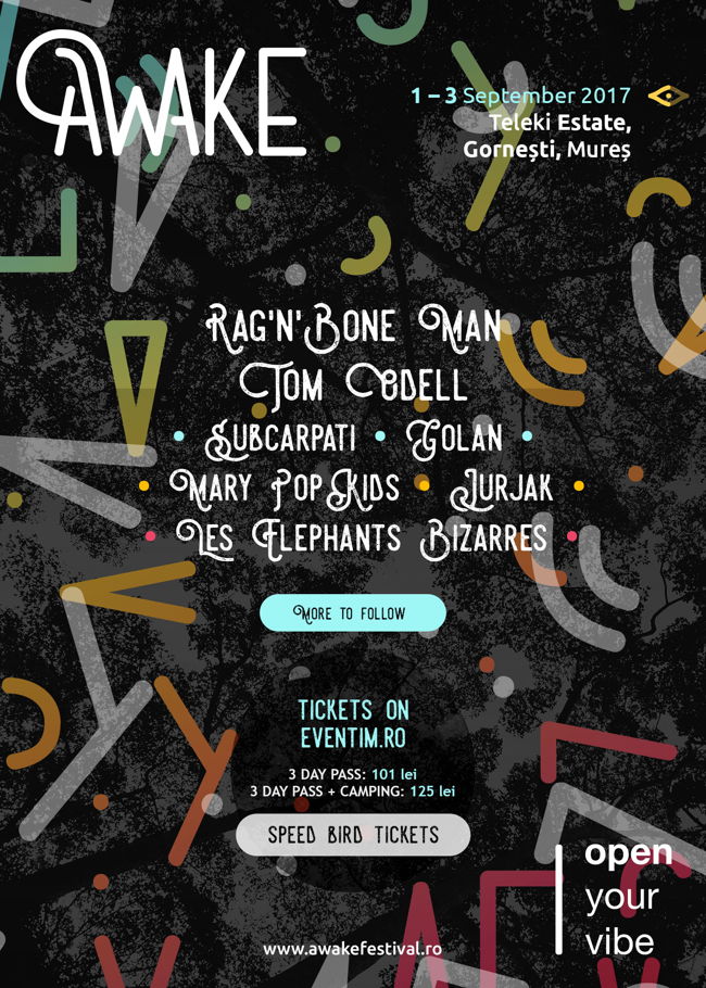 AWAKE Festival, Transylvania, RO (1)