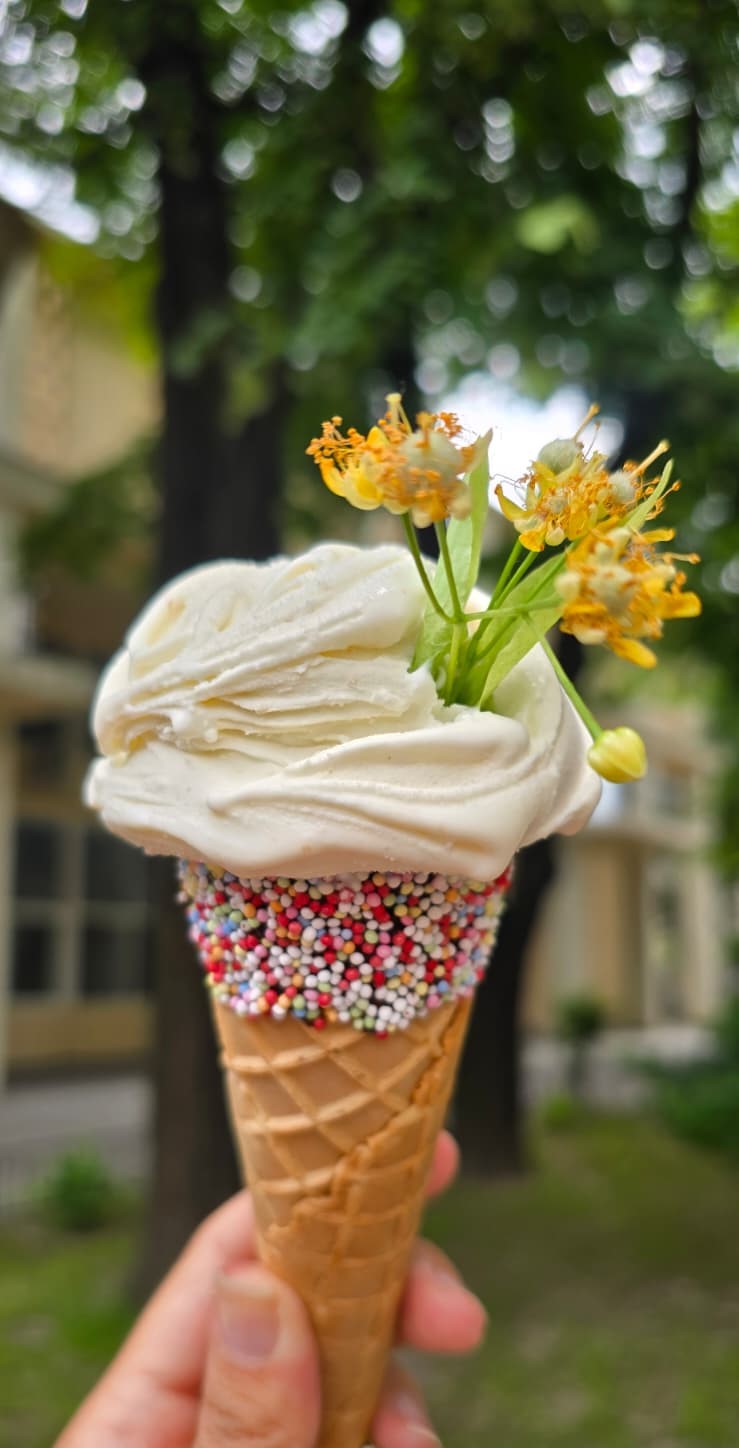 Cosi Buono Gelato