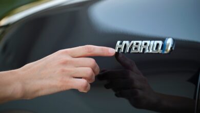 hibrid