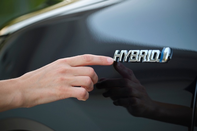 hibrid