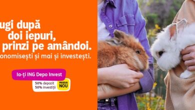 ING Depo Invest - ING Bank