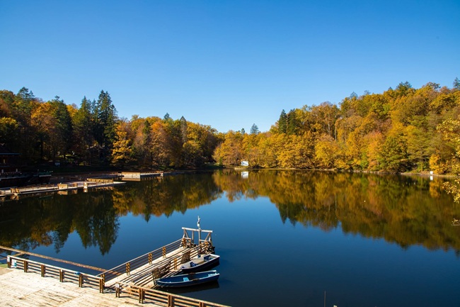 alergii sovata lac ursu