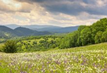 8 locuri frumoase din România unde poți face o surpriza de neuitat