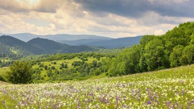 8 locuri frumoase din România unde poți face o surpriza de neuitat
