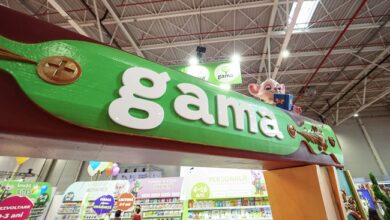 Editura Gama bilant LexiScor