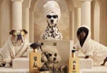 Rituals Dog Care 1