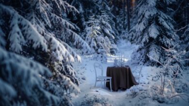 visit finland